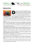 NC Medialiterature Bevilacqua Big Bang Theory