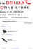 Brixia Shooting Store