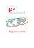 Programma 2015 - Centro Estero per l`Internazionalizzazione