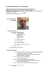 Curriculum Vitae Europass