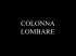 La colonna lombare - dr Enrico Cavagna