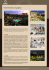 Brochure Synergy International