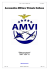 Decorazioni - Aeronautica Militare Virtuale Italiana