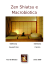 Zen Shiatsu e Macrobiotica - ViVa Shiatsu, lo Shiatsu a Torino