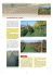 INERBIMENTO DEL VIGNETO