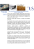scarica la newsletter