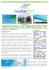 Newsletter ISAFF - IndustriaEnergia.it