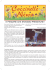 Coccinelle News - aprile 2012