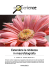 Scarica il Tutorial in pdf