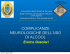 complicanze neurologiche dell`uso di alcool