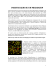 Microarray virtuale
