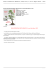 Bonsai International Exhibition, Monaco 2014, a cura di Esprit