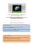 4-8 maggio 2015 Centro Ad Gentes, Nemi (Roma)