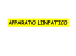 Apparato Linfatico File - e