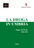 LA DROGA IN UMBRIA. Saggi, inchieste, interviste