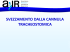 Presentazione standard di PowerPoint