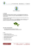 PDF - Stoppervini