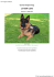 Pedigree for Loviselli Larte