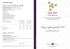 Prezzi e offerte speciali 2015