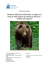 Prevenzione Orso - Bundesamt für Umwelt