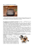 Sicurezza Informatica