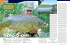 062_65 Solo 5 ore_PESCA IN