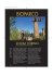 scarica il pdf