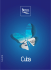 CUBA - Brixia