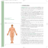 terminologia anatomica