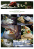 Catering-Cerinella-w..