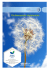 Politique environementale de Peschiera Borromeo (IT)