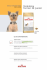 Yorkshire Terrier 29 Junior