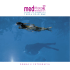 Catalogo 2011 - Mediterraneum4