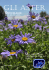GLI Aster - Valfredda