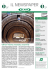 Elmat Newspaper
