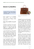 Brand e Celebrities - Marchi e Disegni comunitari