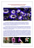 Quantum Bio Physics III: Self Organization in Nature