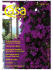 Read more - FAO Staff Coop