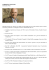 AMBROGIO FOLONARI Curriculum Vitae