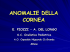 anomalie della cornea - Oculista Elena Piozzi