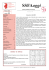 Visualizza PDF