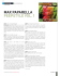 max paparella peepstyle vol. 1