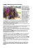 i fulani - Missio Ragazzi