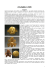 1,5 mb, file pdf