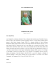 Full CV completo (English, Italiano)