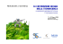 Informations (italian)