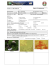 SCHEDA N° 0052 AMS_PD ORDINE Tricholomatales