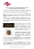 World Gourmet Summit2014 DEF copia - press
