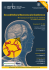 Second Bellaria Neurovascular Conference