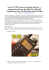 Yaesu VX-3E il segreto dei menu nascosti